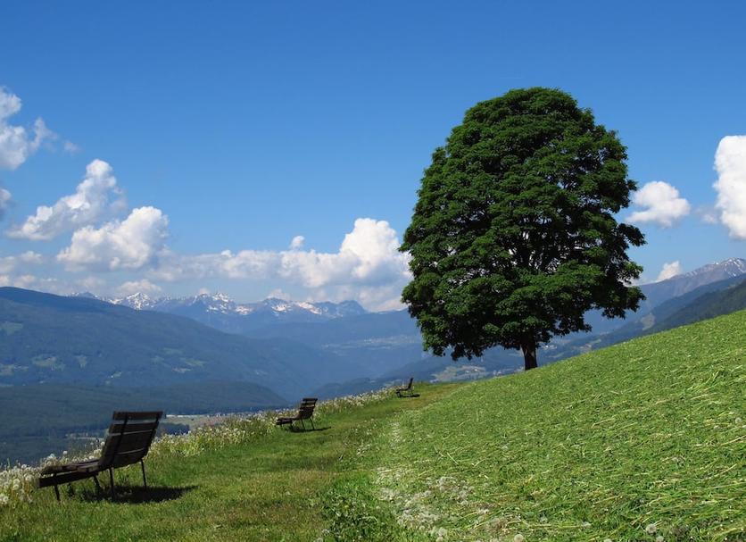 Altro Foto