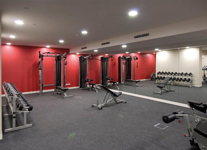 Palestra Foto