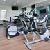 Palestra