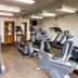 Palestra
