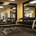 Palestra