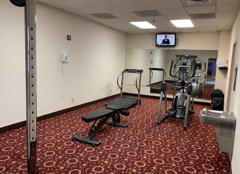 Palestra Foto