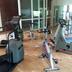 Palestra