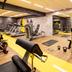 Palestra