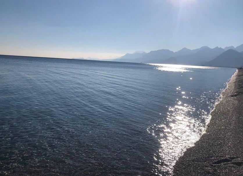 Altro Foto