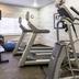 Palestra
