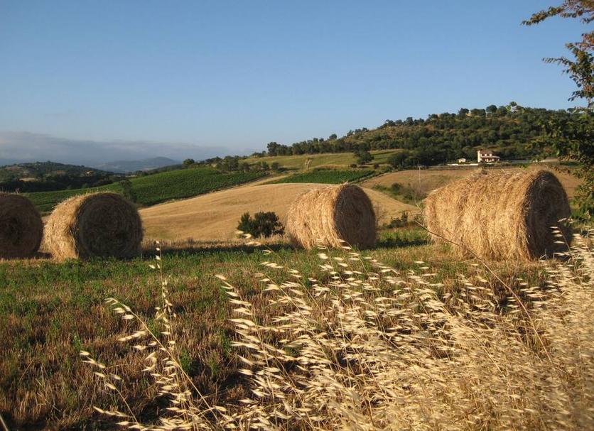 Vista esterna Foto