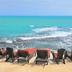 Spiaggia