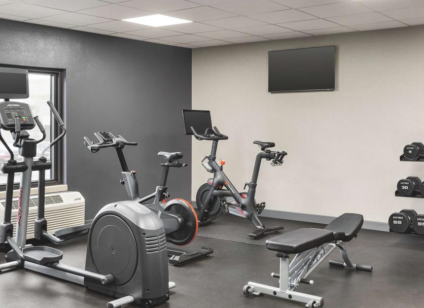 Palestra Foto