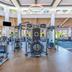 Palestra