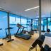Palestra