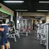 Palestra
