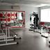 Palestra
