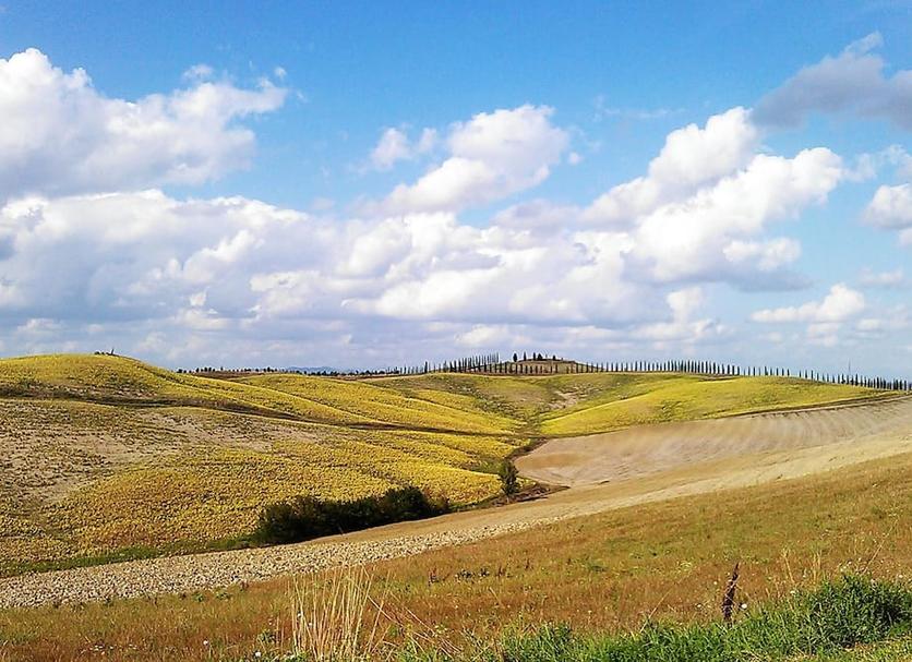 Vista esterna Foto