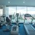 Palestra