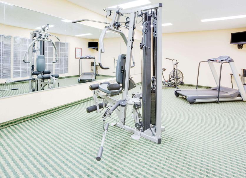 Palestra Foto
