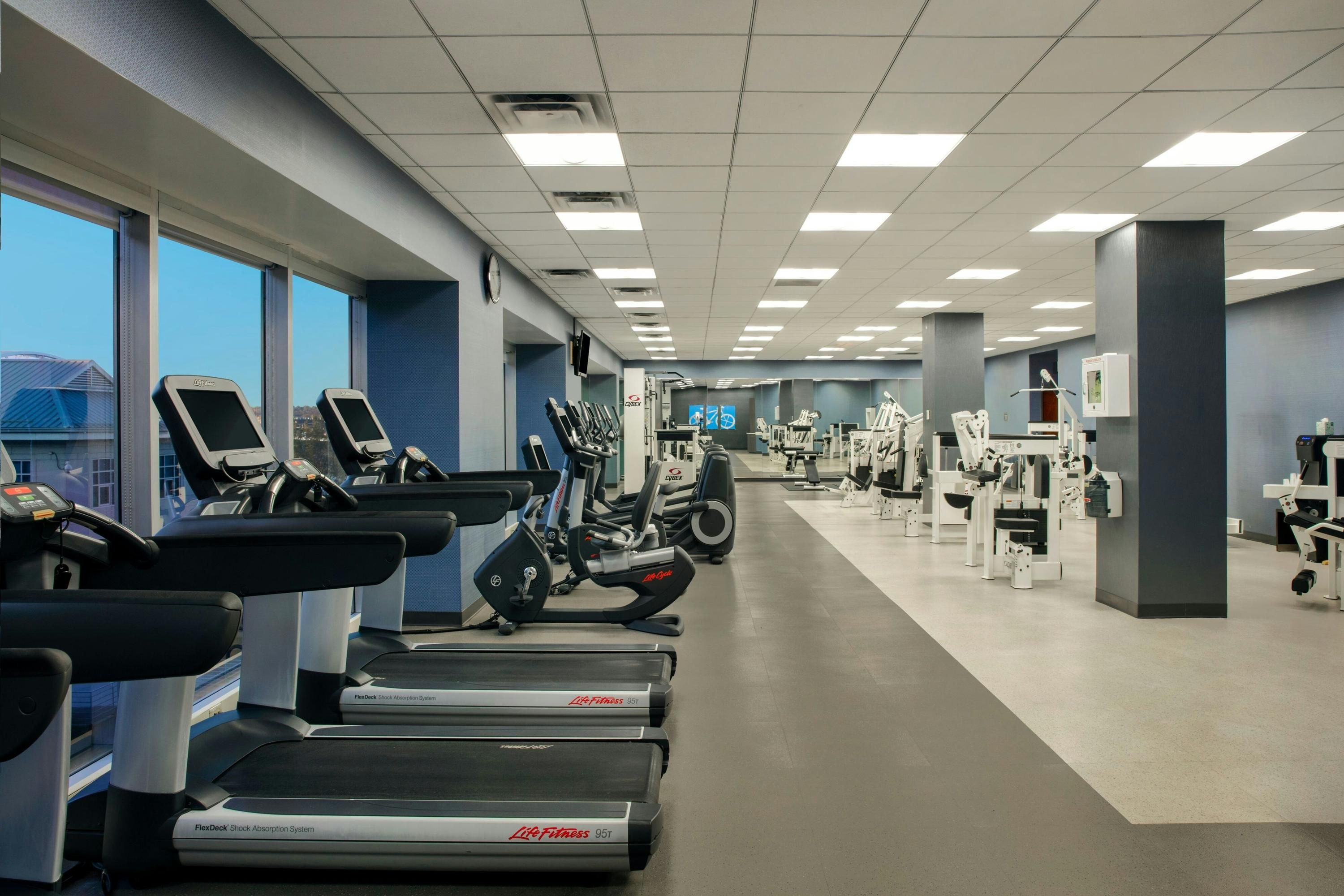 Palestra
