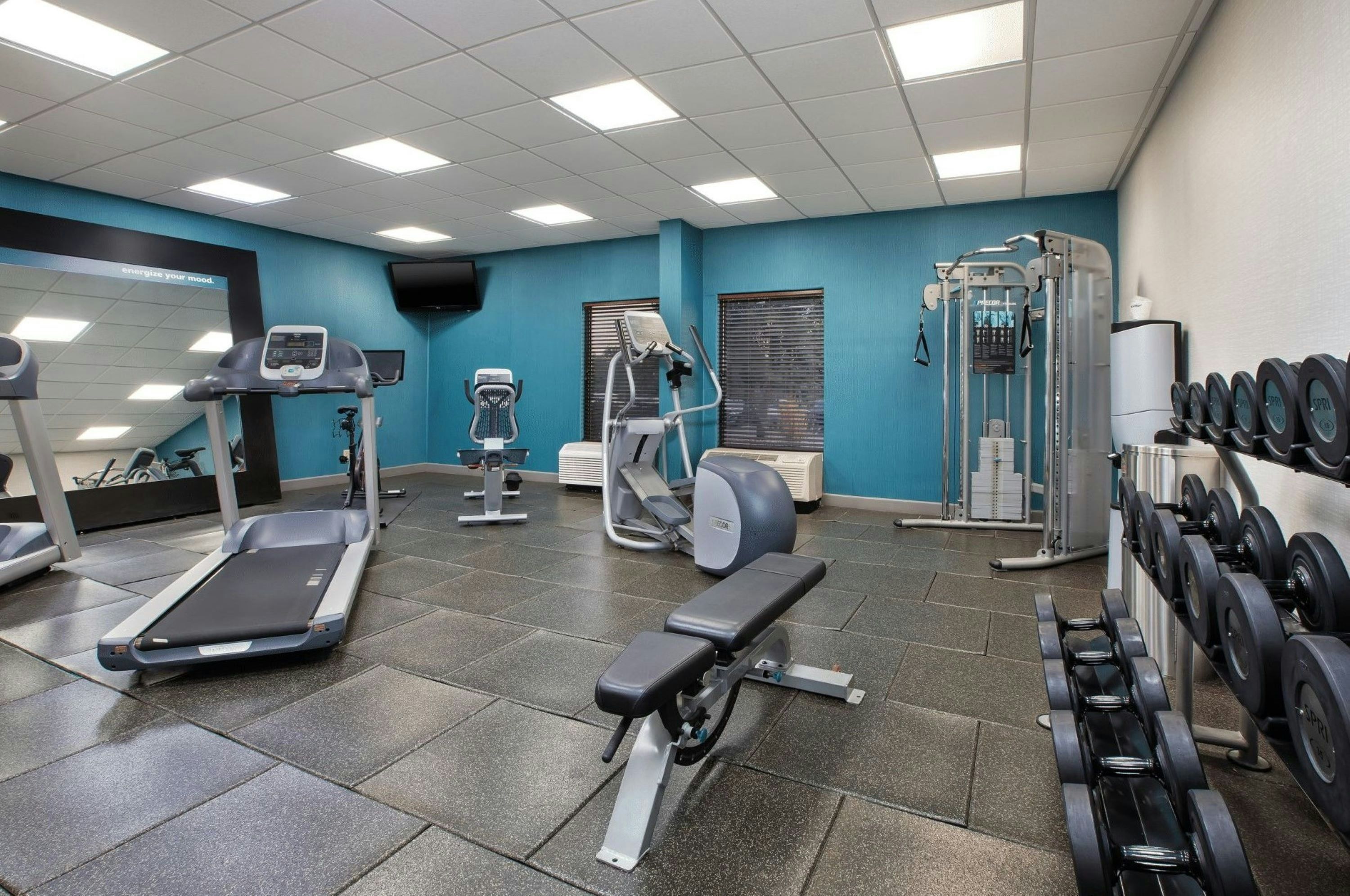 Palestra
