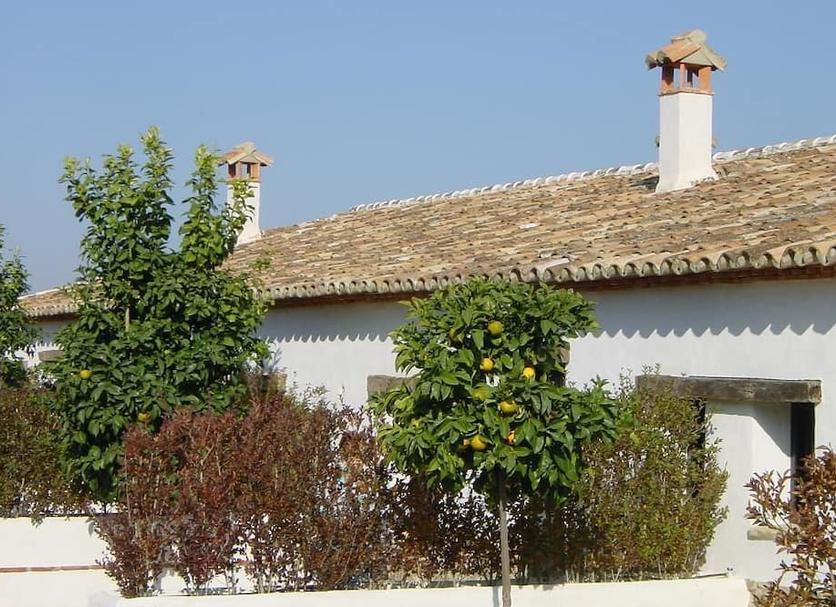 Vista esterna Foto