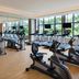 Palestra
