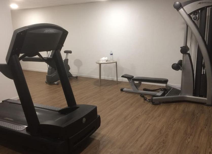 Palestra Foto