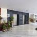 Ingresso