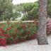 Vista esterna
