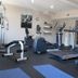 Palestra