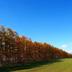 Vista esterna