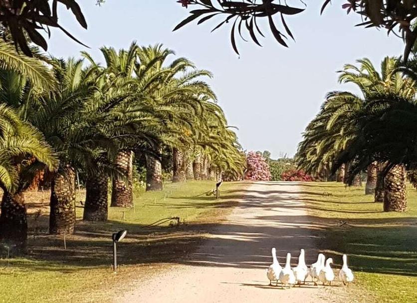 Vista esterna Foto