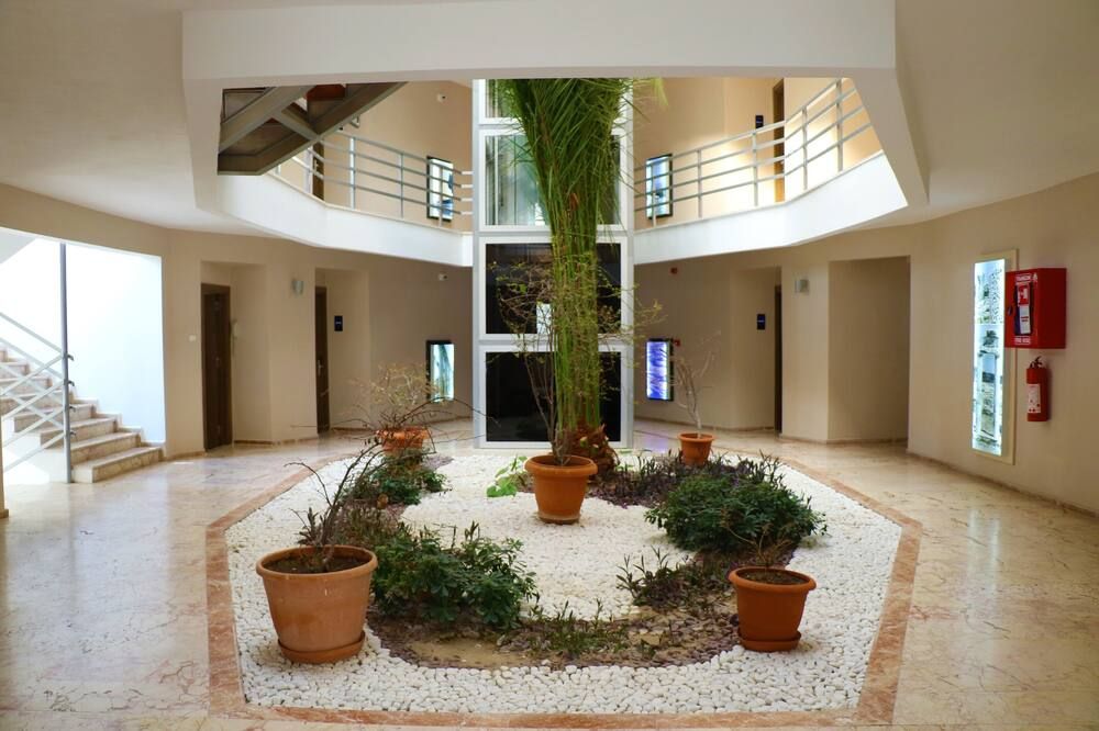 Ingresso