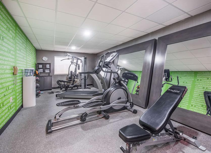 Palestra Foto