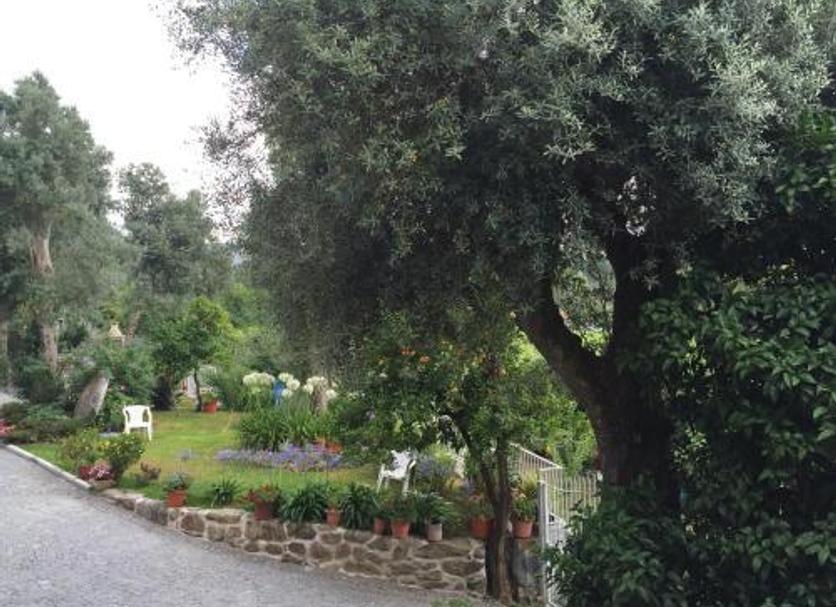 Vista esterna Foto