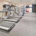Palestra