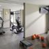 Palestra