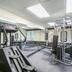Palestra