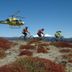 Altro