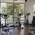 Palestra