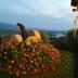 Vista esterna