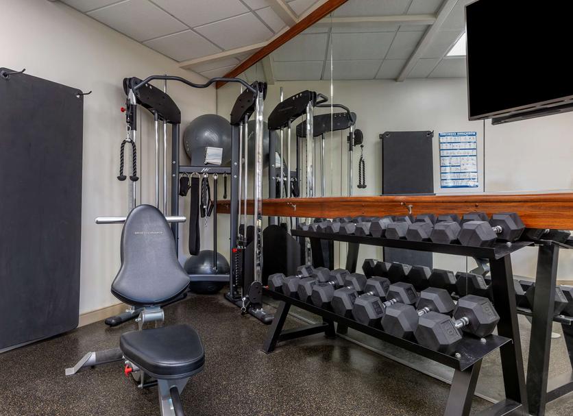 Palestra Foto