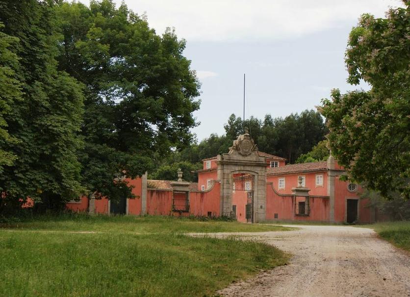 Altro Foto