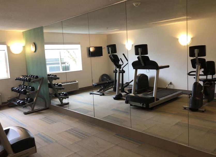 Palestra Foto