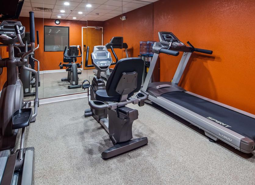 Palestra Foto