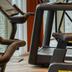 Palestra