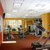 Palestra