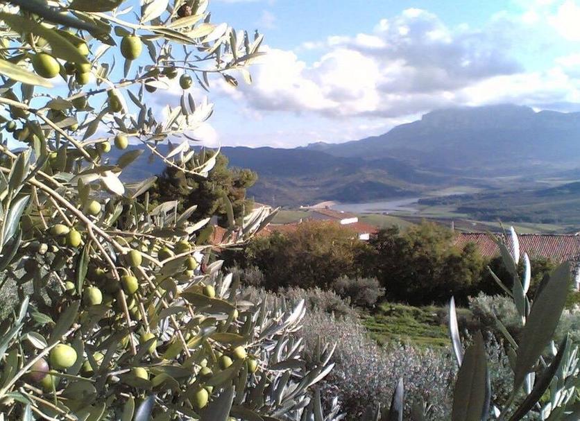 Vista esterna Foto