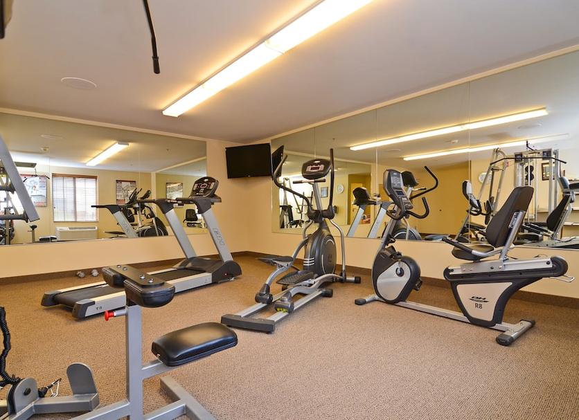 Palestra Foto