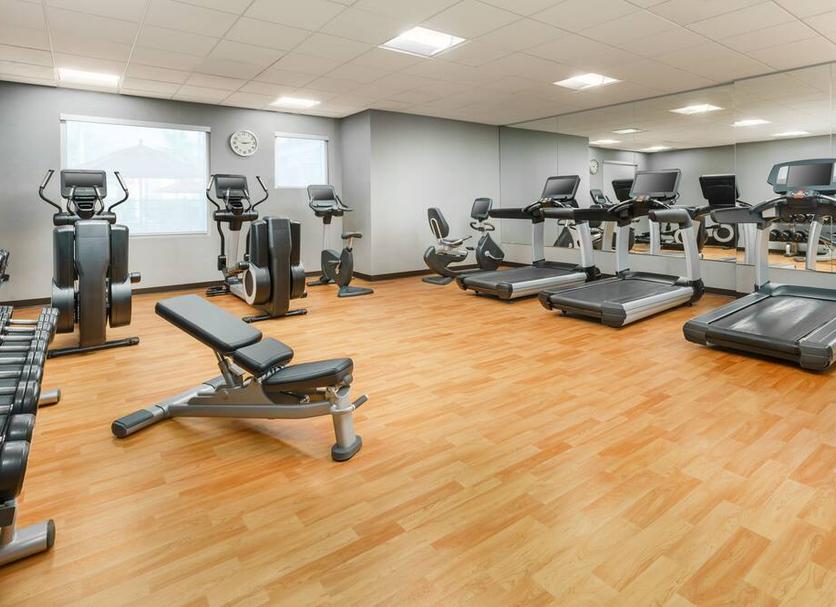 Palestra Foto