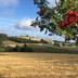 Vista esterna