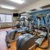 Palestra